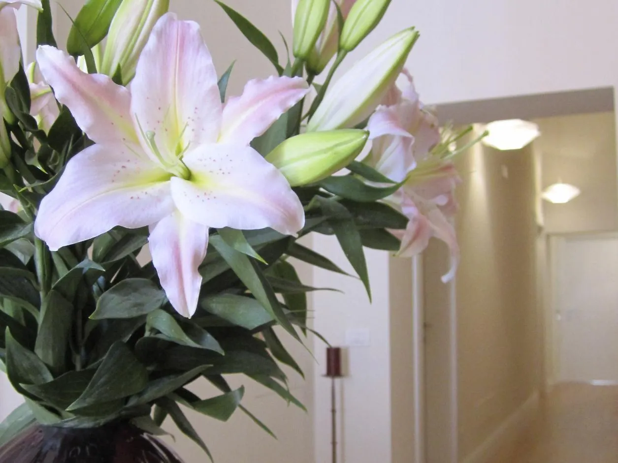 Guest House Amaranto Romano